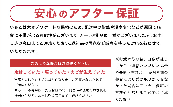 【先行予約】数量限定！あまい果汁溢れる！最高級品質”さがほのか” 4回定期便 （1回 235g×4p 約1kg）