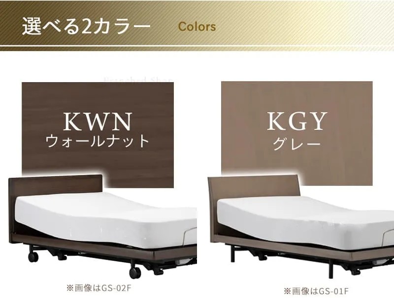 フランスベッド電動リクライニングGS-01F（2モーター：背上げ・脚上げ）キャスタータイプ　マットレス付き（シングル）