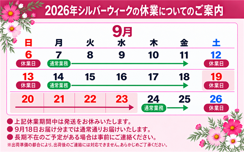 《11月発送》令和8年産 新米 さがびより 佐賀県産（精米）15kg D-706-AS