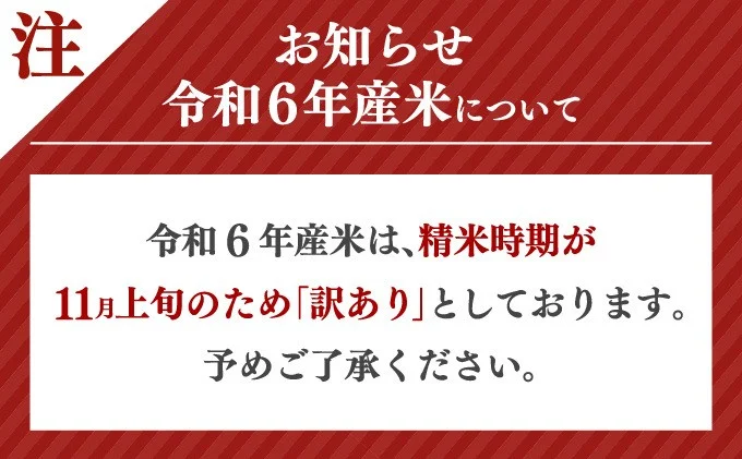 《5営業日以内出荷》 令和6年産 さがびより（精米）5kg 【B-1127-AS】