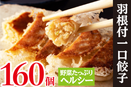 【野菜たっぷりヘルシー♪】一口ぎょうざ160個セット B-636