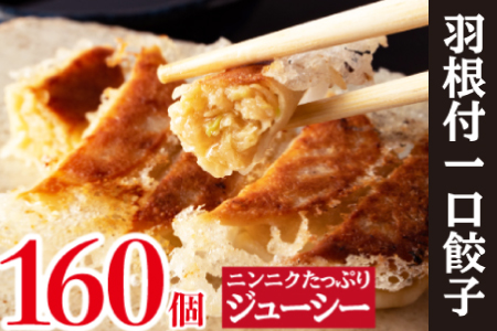 【ニンニクたっぷりジューシー!】一口ぎょうざ160個セット B-635