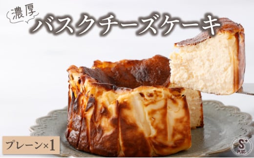  濃厚バスクチーズケーキ プレーン A-74