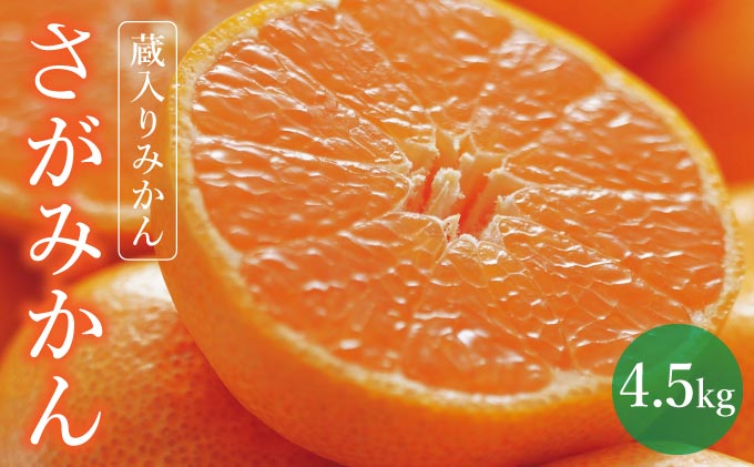 【期間限定】さがみかん （蔵入りみかん4.5kg）【温州みかん 甘い 濃厚 ジューシー コク 完熟 熟成みかん 蔵出し 蔵入り 柑橘 密柑 ギフト 果物 フルーツ 佐賀県産 佐賀県 大和 太良 石橋果樹園 人気】【B-1121-IK】