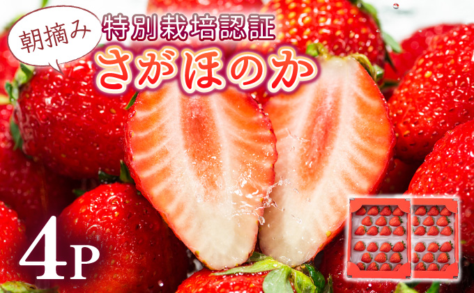 《先行予約・数量限定》あまい果汁溢れる最高級品質「さがほのか」約1kg（235g×4p）B-1092-KN