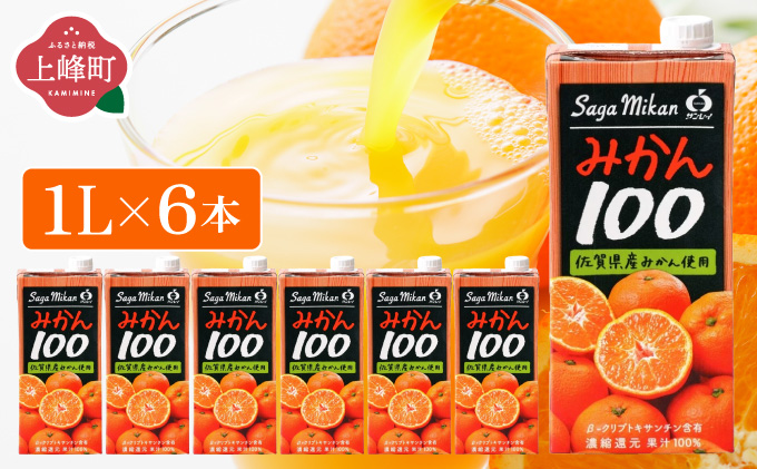 みかん100 1L×6本 B-1136-RN