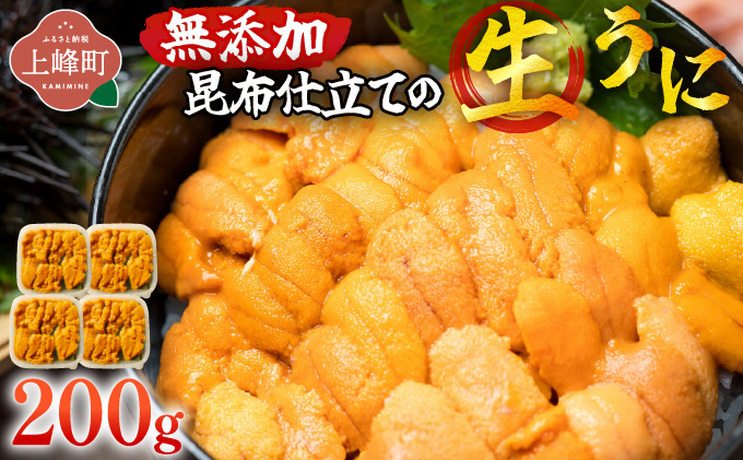 無添加 昆布仕立ての生うに 50g×4P | 生うに 無添加 うに 昆布仕立て 50g 刺身用 海鮮 冷凍 お取り寄せ ギフト 人気 高級 ご褒美用 海鮮丼用 ウニ丼用 高級食材