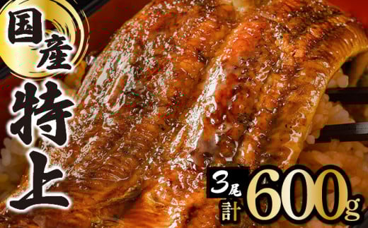 【数量限定】『国産』うなぎ蒲焼 3尾 計600g 【D-626-PE】