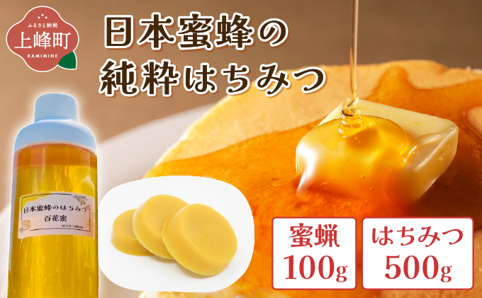 日本蜜蜂の純粋はちみつ 日本蜜蜂の純粋はちみつ 500g×1 蜜蝋100g付 D-666-HB