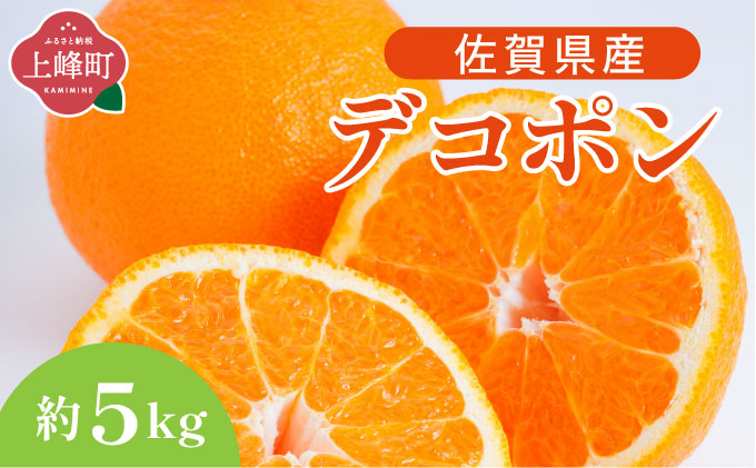 デコポン 約5kg D-669-RN