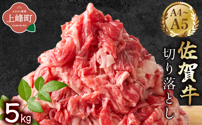 艶さし！【A4~A5】佐賀牛切り落とし 5kg (500g×10P)