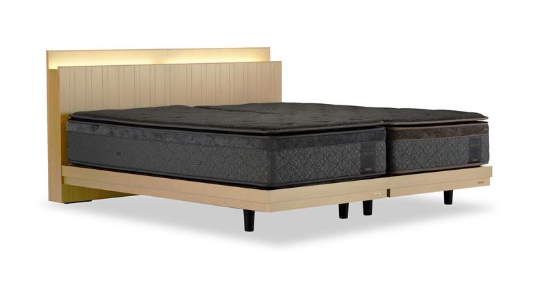 フランスベッド テレス02C 脚付きタイプ シングル フレームのみ S-229