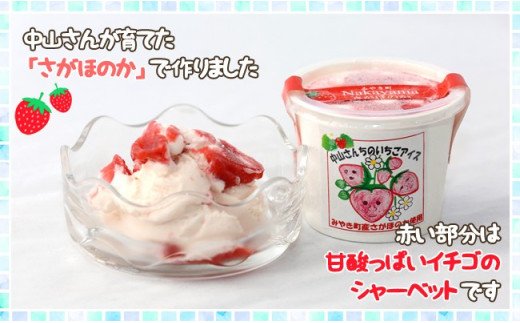 AE032_農家が考えたなめらかアイス６個（いちご＆黒豆抹茶