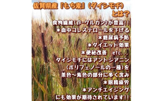 CIC04 【限定入荷】みやき町産『もち麦』(ダイシモチ)４kg(１