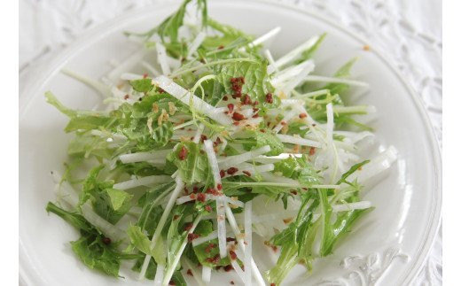 CQ037_オーガニックサラダミニセット【植物性で育てた完全