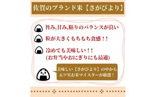 CID36_～有機肥料を使って栽培された～「特選さがびより」