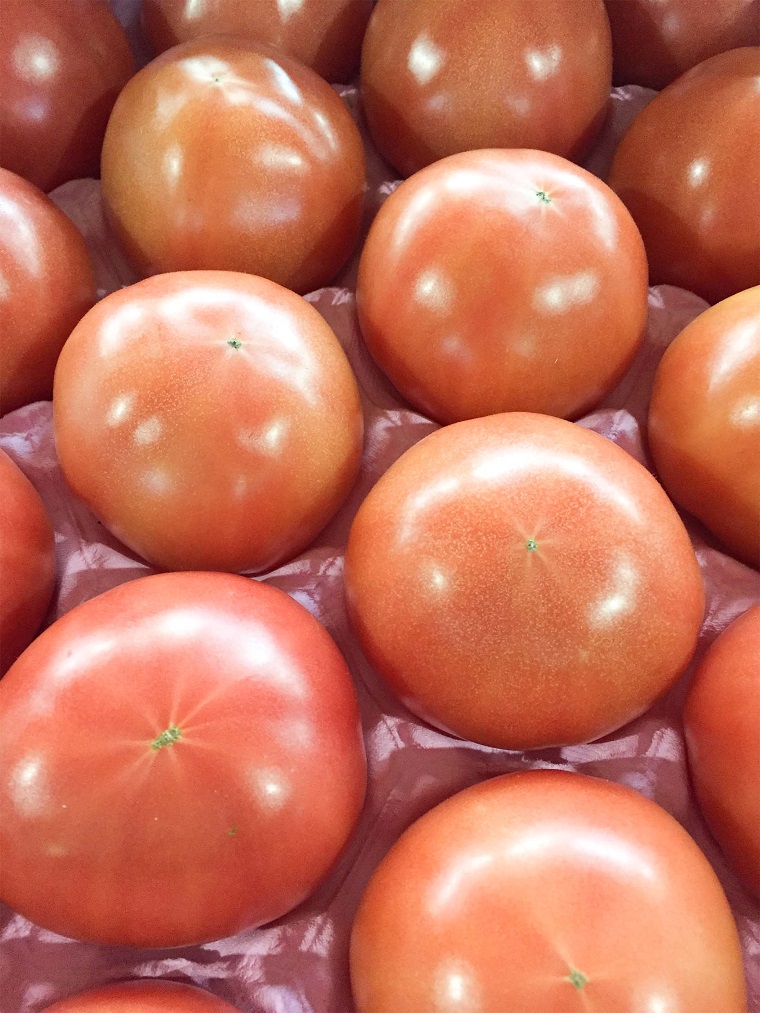 AR001　佐賀県産愛味とまと　めぐみトマト約４ｋｇ