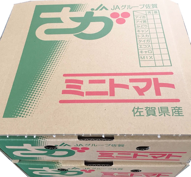 AR002　みやき町産ミニトマト　2種セット　各約1ｋｇ お届け