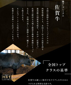 BN103【只今ご寄附から２カ月程度で発送】佐賀牛100％ハンバ