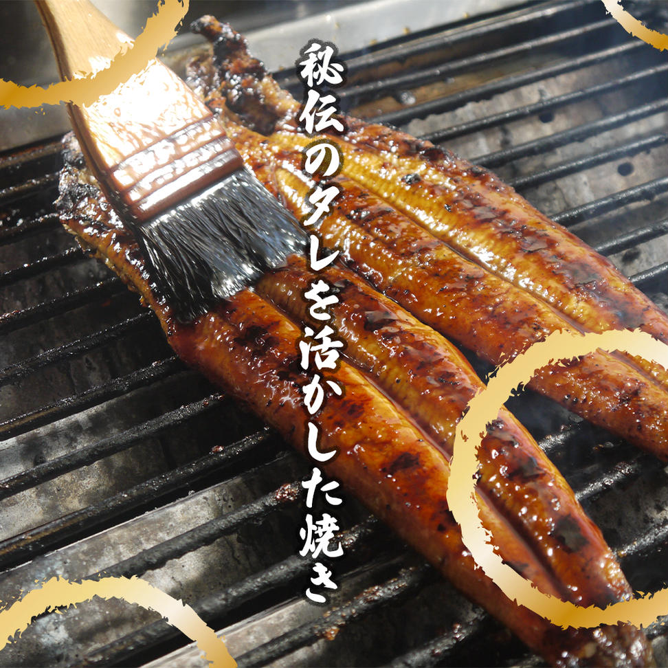 AK003_【冷蔵発送】朝開き国産うなぎ 当日発送２尾（1尾あた