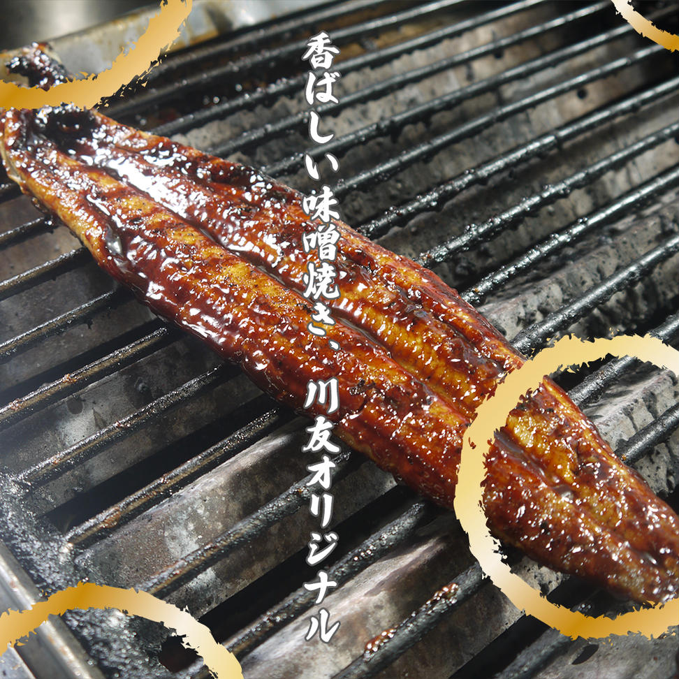 AK005_【冷蔵発送】朝開き国産うなぎ 当日発送２尾（1尾あた