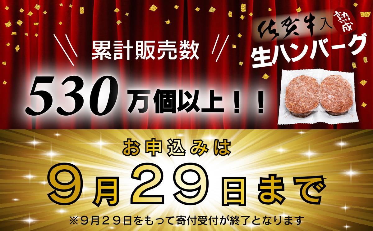 FM031_【最長半年待ちの大人気】佐賀牛入り熟成ハンバーグ18
