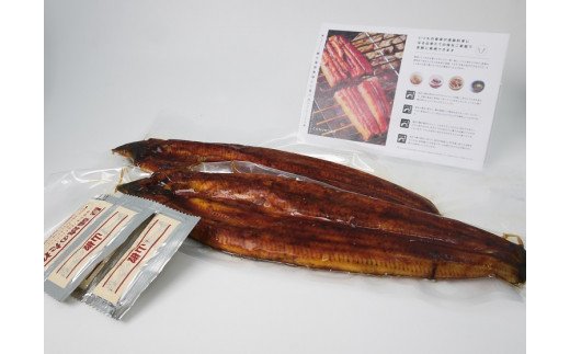 FK016　【6回定期便】九州産　うなぎ職人手焼き　蒲焼　国