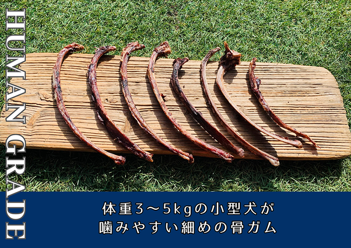 FB173_小型犬向け☆天然いのししの骨ガム200g【定期便】全6回