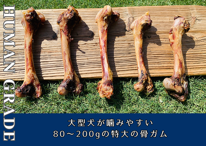 FB183_大型犬向け☆天然いのししの骨ガム6本【定期便】全12