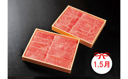 DP086_佐賀牛赤身定期便Ｃ♪　(1,3,5,7,9月お届け)　ヒレステー