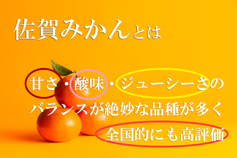 DV034_清見（きよみ）みかん8kg