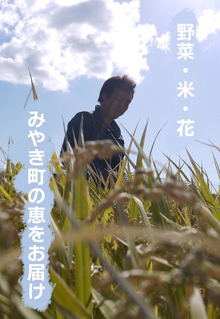 CC003_【3回定期便】かずちゃんの朝採り新鮮野菜セット毎月