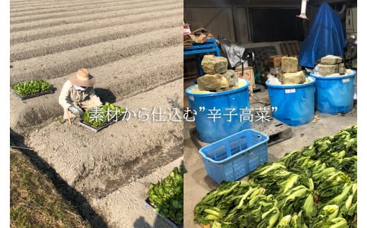 CM009_絶品！！ラーメン屋が作る旨辛辛子高菜と肉汁溢れる