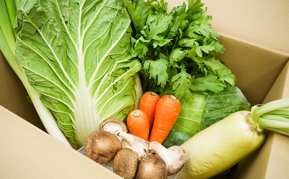 CC005_【鍋約2回分】かずちゃんの厳選おススメ鍋野菜セット 