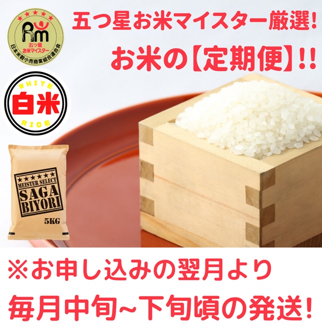 CID42_【５回定期便】さがびより白米１０kg（５kg×２袋） 【