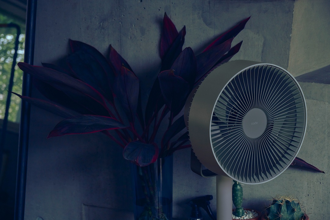 EE054D_【2025年7月以降発送】cado カドー除菌サーキュレーター