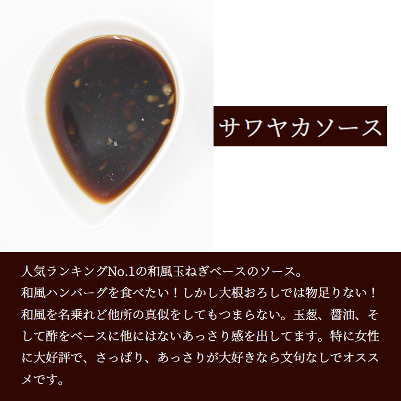 FT002_ジョージハンバーグ5食セット(人気のサワヤカソース付