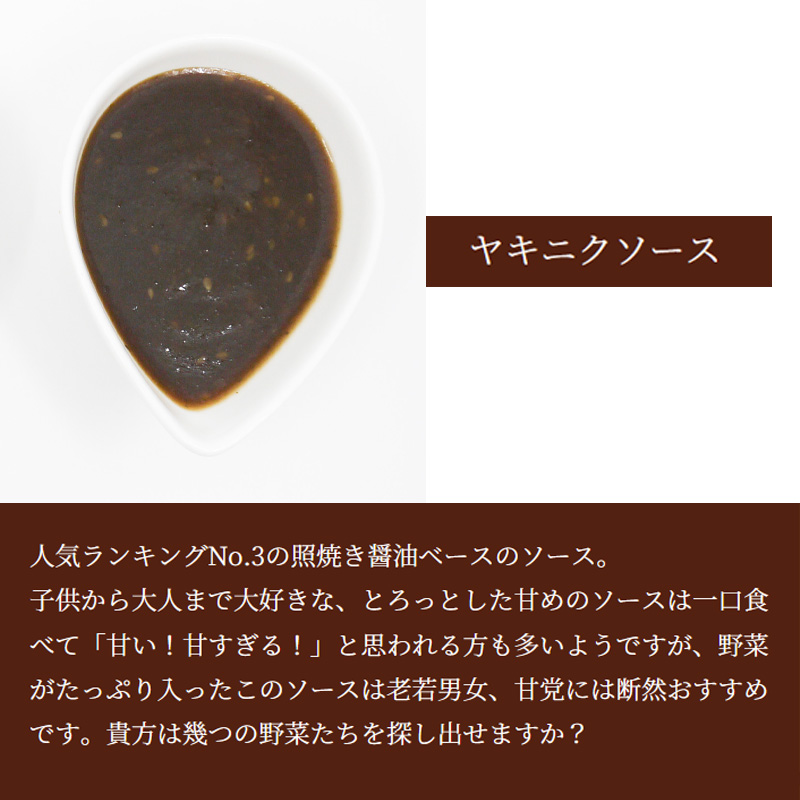 FT004_ジョージハンバーグ5食セット(人気のヤキニクソース付