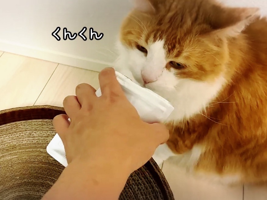 FB164_ねこちゃんストレス解消☆爪とぎサークル&天然100％ま