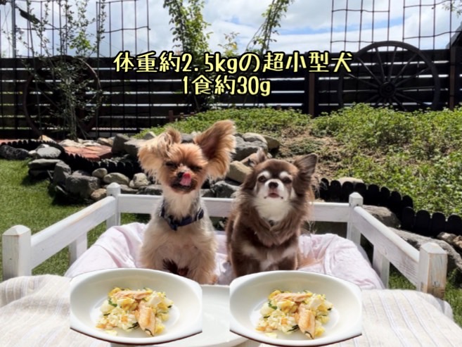 FB156_犬の無添加手づくりごはん☆鮭青じそごはん