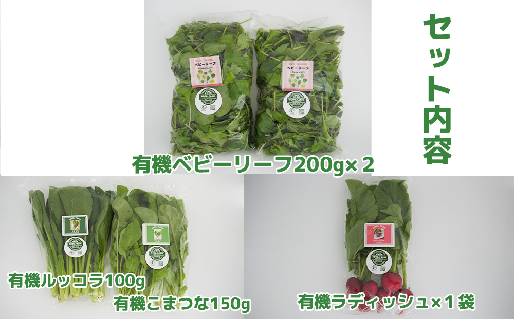 FV019_【６回定期便】6000.FARMの有機野菜のサラダセット
