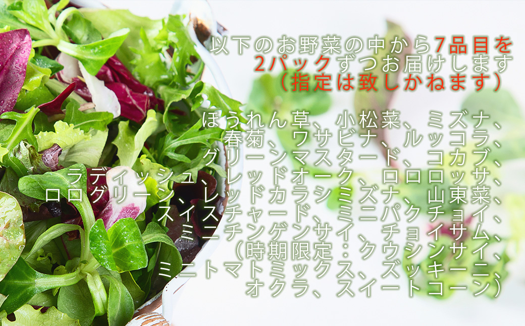 CQ036_【定期便】オーガニック葉物野菜セット【植物性で育