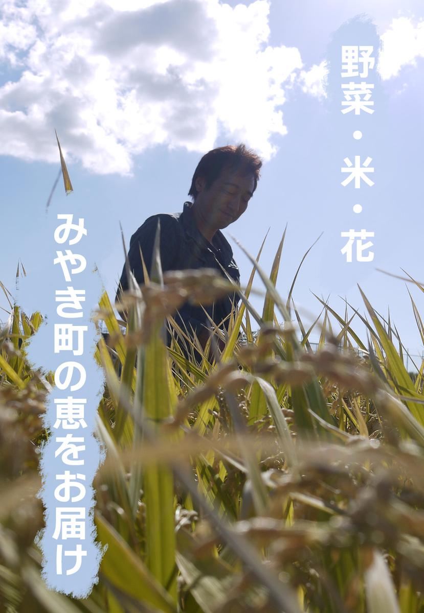 CC001_かずちゃんの朝採り新鮮野菜セット【みやき町産朝採