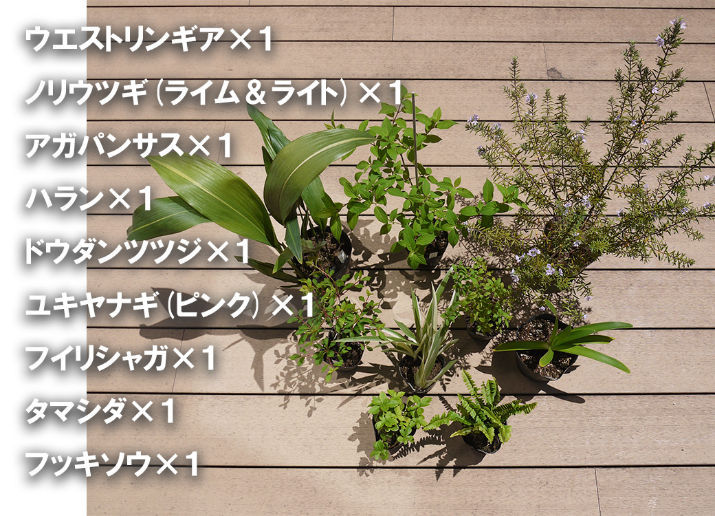 BS177_ガーデニングセットA　花 苗 植物 家庭菜園 花壇 プラ