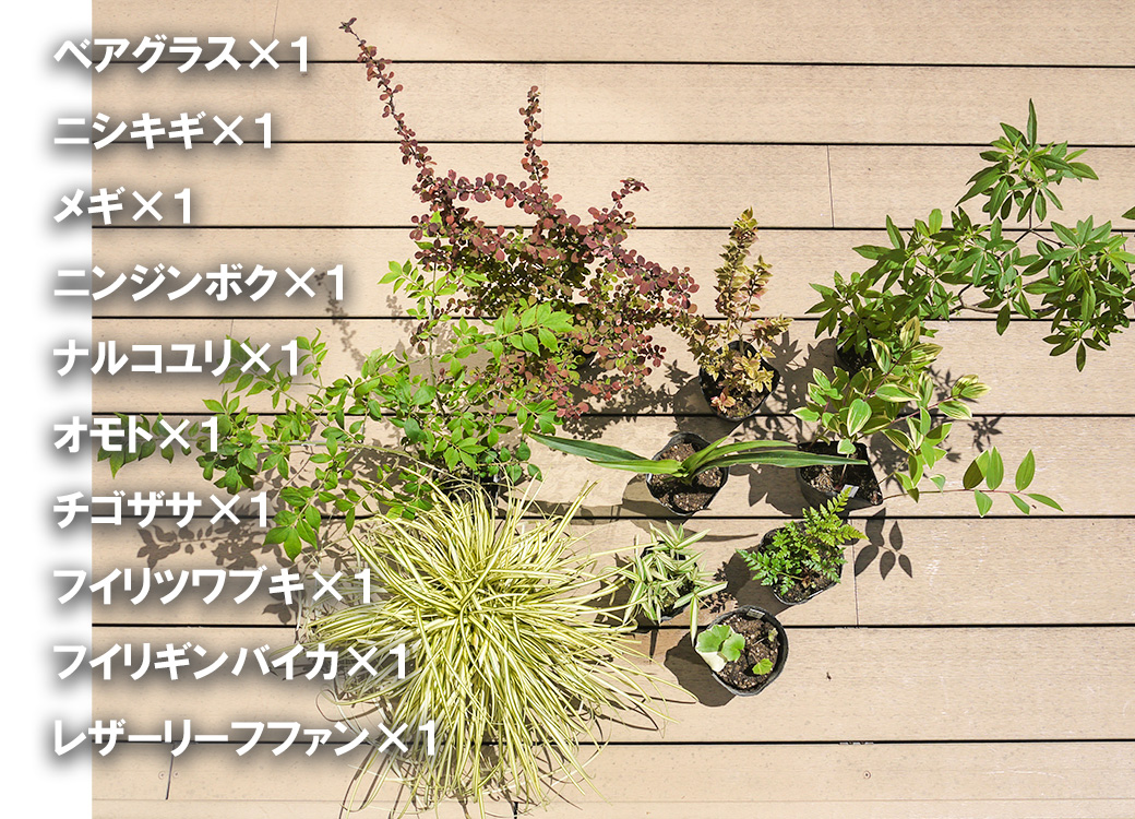 BS178_ガーデニングセットB　花 苗 植物 家庭菜園 花壇 プラ