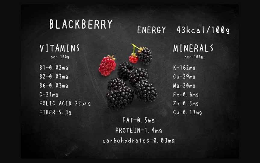 EG127_腸や皮膚の健康を維持する栄養素（食物繊維14g、亜鉛7.