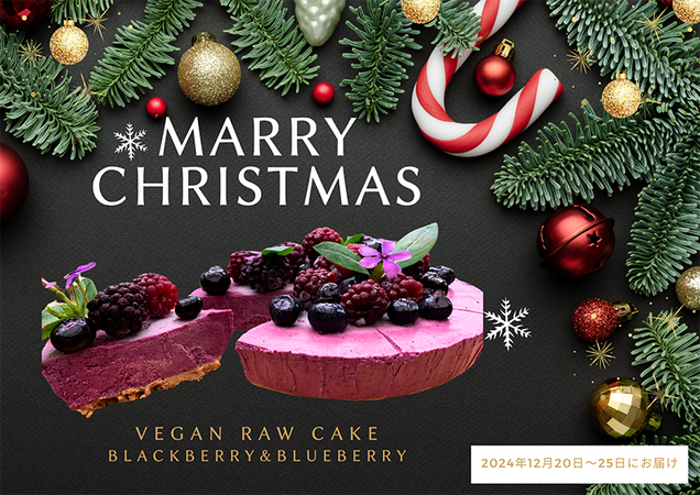 EG131_クリスマスケーキ☆腸や皮膚の健康を維持する栄養素