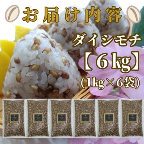 CIB99_佐賀県産『もち麦』６kg(１kg×６袋)【ダイシモチ】