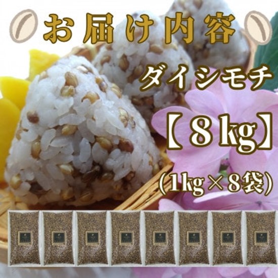 CIC01_佐賀県産『もち麦』８kg(１kg×８袋)【ダイシモチ】