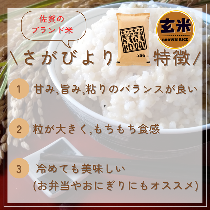 CIC29_『新米予約』令和７年産　さがびより【玄米】５kg　※